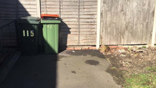 Professional waste removal team at work